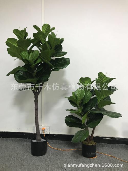 綠意永駐 高仿真琴葉榕——現代家居美學的理想之選